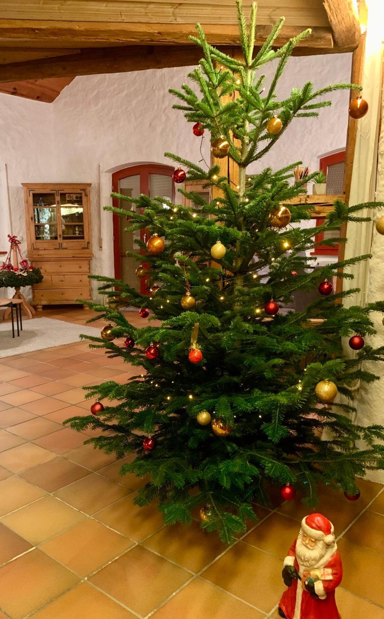 Altmuehl Familienvilla Treuchtlingen Exterior foto